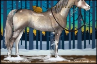 Horse Color:Silver Brown Onyx Sabino 