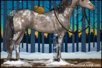 Horse Color:White Spotted Brown Ice Dun 