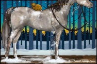 Horse Color:White Spotted Liver Red Dun Ice