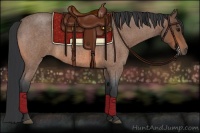 Horse Color:Bay Roan 