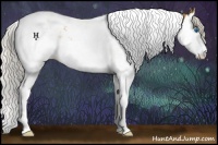 Horse Color:Silver Buckskin Roan Splash Tobiano 