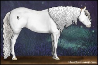 Horse Color:Silver Buckskin Roan Splash Tobiano 