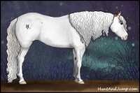 Horse Color:Silver Bay Roan Splash Tobiano 