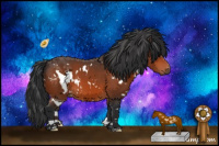 Horse Color:White Spotted Bay 