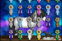 Horse Color:White Spotted Brown Chinchilla 