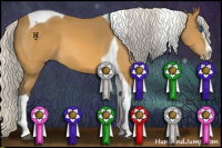 Horse Color:Silver Buckskin Splash Tobiano 