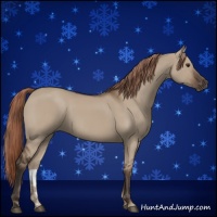 Horse Color:Liver Red Dun 