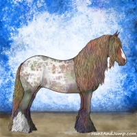 Horse Color:Nacre Liver Chestnut Ice Rabicano