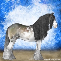 Horse Color:Blue Onyx Sabino