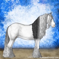 Horse Color:Black Sabino