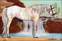 Horse Color:Silver Bay Ice Appaloosa 
