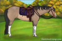 Horse Color:Bay Roan Dun Rabicano