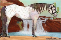 Horse Color:Nacre Bay Ice Dun Appaloosa 