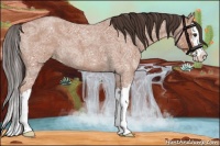 Horse Color:Bay Ice Roan Splash Appaloosa Rabicano 