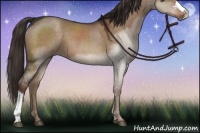 Horse Color:Liver Red Dun