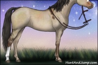 Horse Color:Liver Red Dun