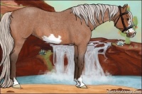 Horse Color:Silver Bay Roan Frame 