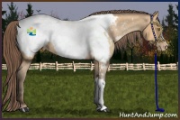 Horse Color:Amber Champagne Near Fewspot 