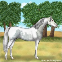 Horse Color:Silver Grullo Chinchilla Ice Splash Tobiano 