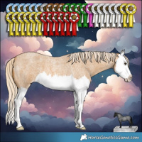 Horse Color:Palomino Roan Splash Varnish 
