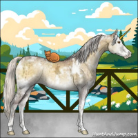 Horse Color:White Spotted Chocolate Silver Smoky Grullo Chinchilla Ice Onyx Sabino Brindle