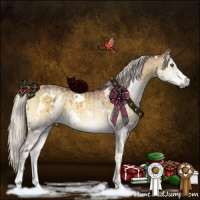 Horse Color:White Spotted Chocolate Silver Smoky Grullo Chinchilla Onyx Sabino Brindle 