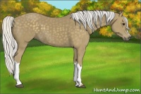 Horse Color:Silver Smoky Black 