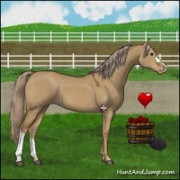 Horse Color:Chocolate Palomino Dun Varnish 