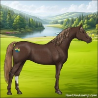Horse Color:Liver Chestnut Sabino 