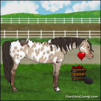 Horse Color:Liver Red Dun Near Leopard 