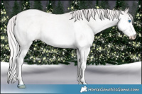 Horse Color:Platinum Chocolate Palomino Roan Pearl Splash Rabicano 
