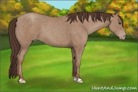 Horse Color:Classic Champagne 