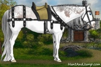 Horse Color:White Spotted Brown Roan Splash 