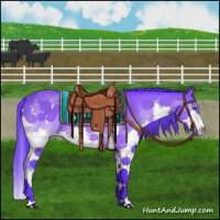 Horse Color:Watercolor Bay Splash