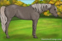 Horse Color:Silver Black 