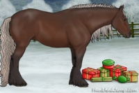 Horse Color:Silver Brown 