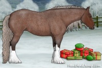 Horse Color:Silver Brown Roan 