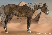 Horse Color:Chocolate Palomino Ice Sabino 