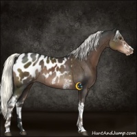 Horse Color:White Spotted Liver Chestnut Mushroom Sabino Blanket 