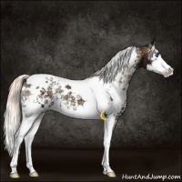 Horse Color:White Spotted Liver Red Onyx Ice Splash Tobiano 