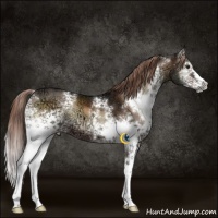 Horse Color:White Spotted Liver Red Onyx Ice Splash