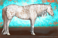 Horse Color:Amber Champagne Sabino Tobiano Blanket and Gray Amber Champagne Sabino Tobiano Blanket