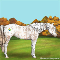 Horse Color:Amber Champagne Sabino Tobiano Appaloosa  and Amber Cream Champagne Sabino Tobiano Appaloosa 