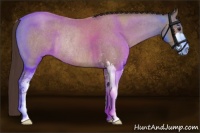 Horse Color:Classic Champagne Roan Sabino Rabicano