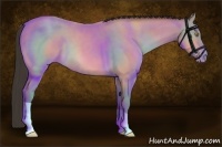 Horse Color:Amber Champagne Roan 