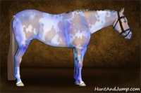 Horse Color:White Spotted Amber Champagne Roan Rabicano 