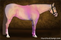 Horse Color:Sable Cream Champagne Roan 