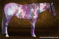 Horse Color:White Spotted Brown Roan Appaloosa Rabicano 