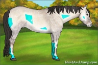 Horse Color:Liver Red Dun Ice Onyx Sabino Rabicano 