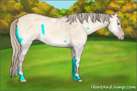 Horse Color:Gray Silver Sable Champagne Ice Roan Onyx Rabicano